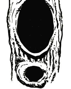 Maybe I'm Amazed - 15